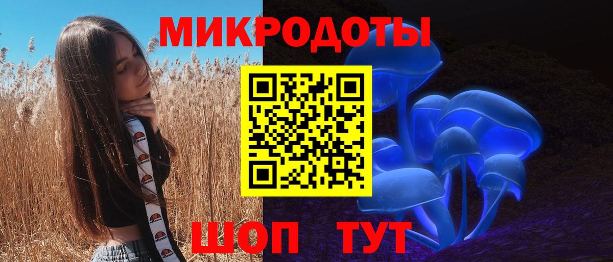Псилоцибиновые грибы Cubensis Приморско-Ахтарск