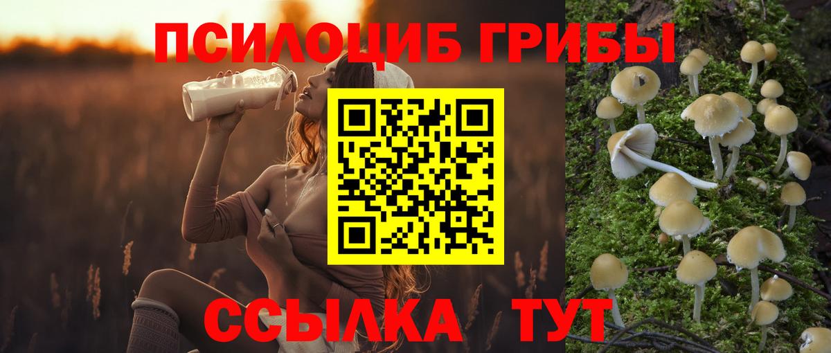 Псилоцибиновые грибы мицелий  Псилоцибиновые грибы GOLDEN TEACHER  Вход с VPN  дарнет шоп  Приморско-Ахтарск 