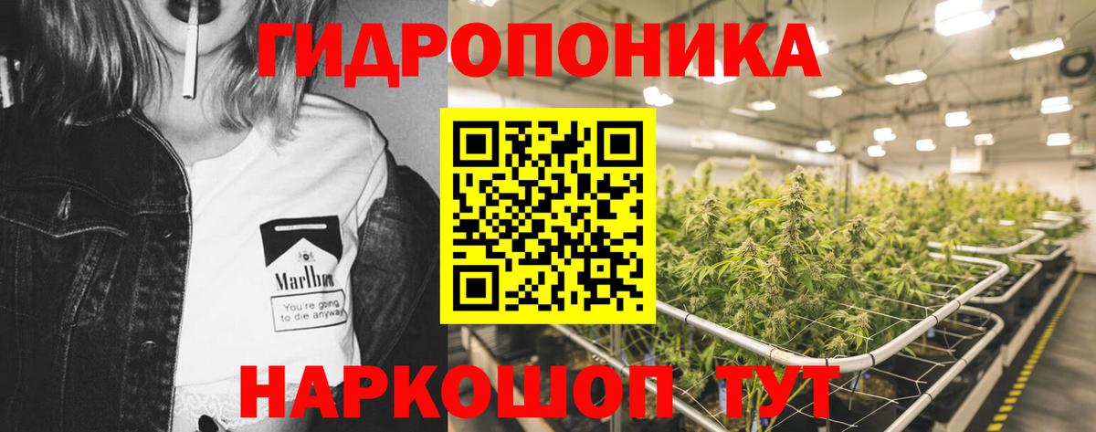 Каннабис LSD WEED  Каннабис план  Марихуана Bruce Banner  Приморско-Ахтарск  Вход с VPN 